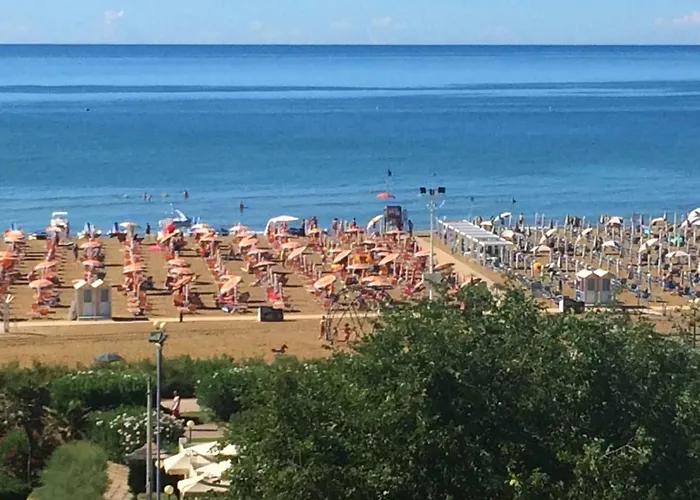 In 54667 * 比比翁